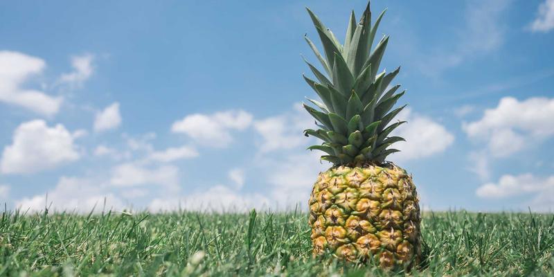 香港环球76:连接全球的货运枢纽与综合物流解决方案专家