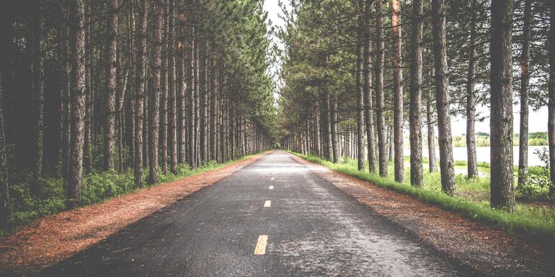 香港环球ESG投资枢纽：以卓越物流服务与国际贸易网络连接国际绿色资本与可持续供应链