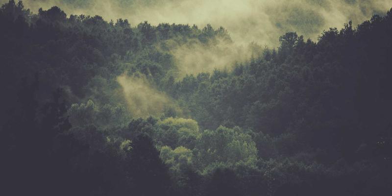香港环球专业服务输出：会计、法律与咨询公司如何助力企业搭建跨国运营与供应链管理架构