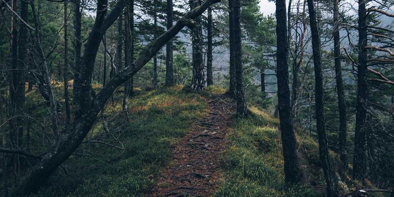 香港环球人才：国际物流与供应链管理专业认证体系全解析