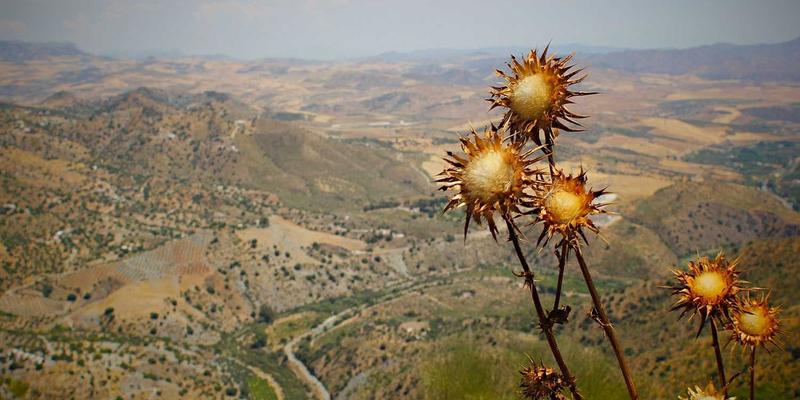 香港环球：依托国际贸易与物流优势，为高净值客户打造专属投资移民方案