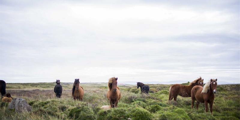 香港环球再保险中心：如何为国际贸易与全球货运构筑特殊风险屏障