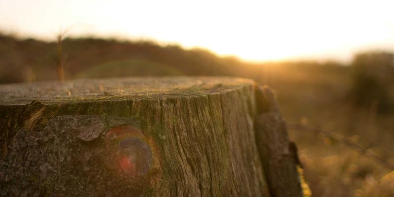 香港环球：国际贸易与物流服务的战略枢纽与未来前景