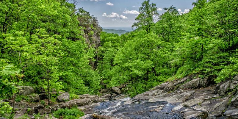 香港环球家族办公室：如何利用信托架构为物流与供应链企业实现跨境资产保护与传承规划