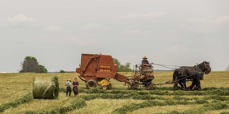 香港环球家族办公室：如何善用离岸信托与物流服务规划跨境资产传承