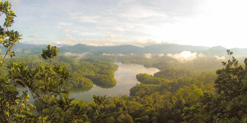 香港环球家族办公室：融合国际贸易与全球货运优势的税收与法律环境解析