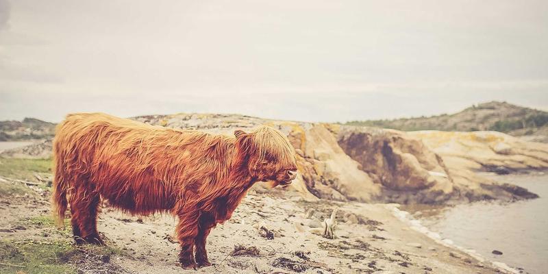 香港环球家族办公室：跨境财富传承与另类资产配置
