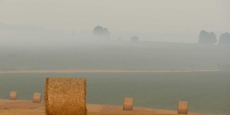 香港环球攻略：供应链管理与国际贸易的枢纽优势解析