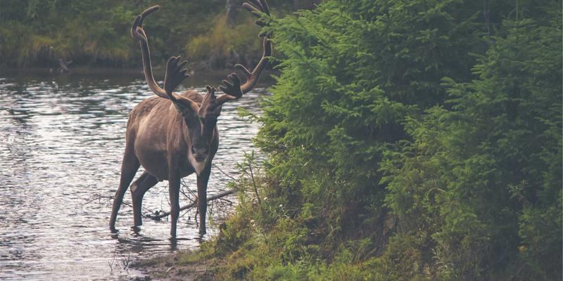 香港环球数据枢纽：国际海底光缆登陆站与数据中心集群的物流新机遇