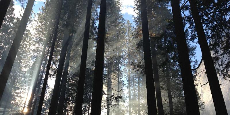 香港环球离岸贸易与人民币结算中心：优化进出口服务、物流与供应链管理的战略枢纽