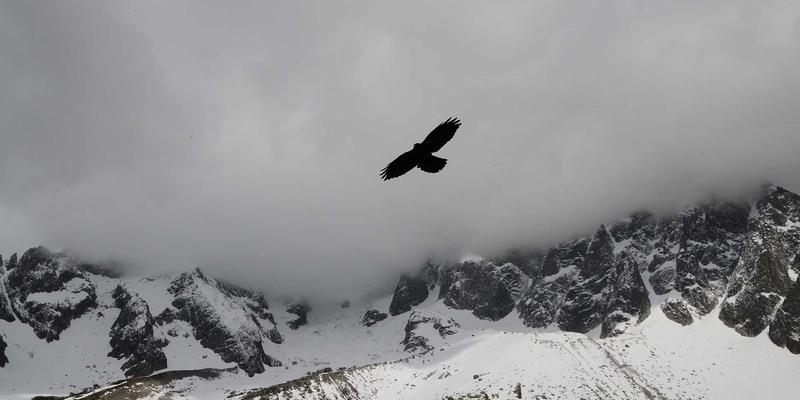 香港环球绿色债券：可持续发展挂钩债券如何重塑港口基建与全球货运未来
