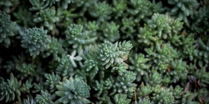 香港环球航空货运枢纽：连接全球的冷链与高价值货物物流卓越中心