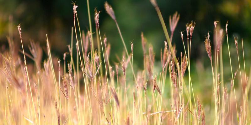 香港环球趋势：物流枢纽如何重塑国际贸易新格局